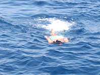 barca a vela