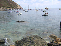 viaggi a vela