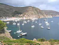 viaggi a vela