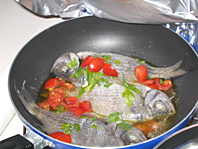 viaggi a vela